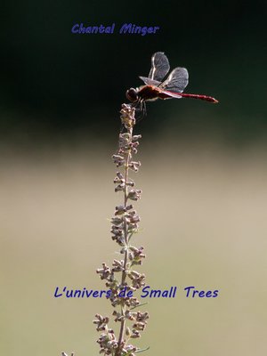 cover image of L'Univers de small trees